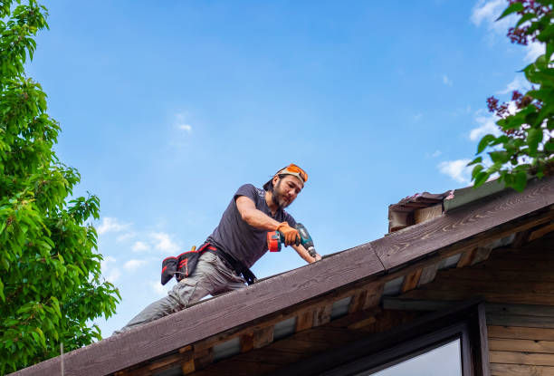 Waterproofing in Meadow Woods, FL