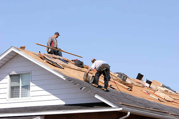 Best Gutter Installation and Repair  in Meadow Woods, FL